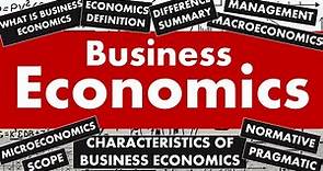 What is Business Economics? Definition, Scope, Importance, and Characteristics of Business Economics