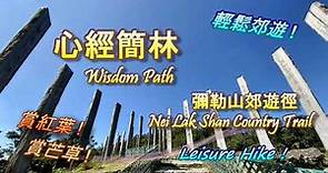 [🏞心經簡林] [彌勒山郊遊徑😎] +航拍 +紅葉 +芒草 (踩過界2😬？)Wisdom Path, NeiLakShanCountryTrail +Red Leaves +Miscanthus