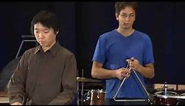 Instrumentenkunde Schlaginstrumente des Orchesters (Percussion)