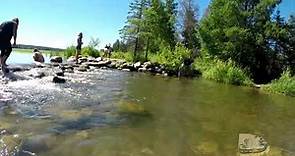 Itasca State Park: Mississippi River Headwaters