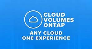 NetApp Cloud Volumes ONTAP is the Leading Enterprise-Grade Storage Management Solution