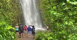 Hiking Renovated Manoa Falls Trail