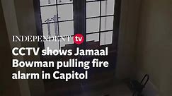 Watch: CCTV shows moment Jamaal Bowman pulls fire alarm in Capitol