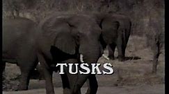Tusks (1988) Trailer