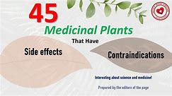 45 medicinal plants that have contraindications and side effects