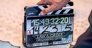 Law & Order: Organized Crime Crew Member Killed on Set