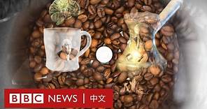 咖啡如何成為全球最受歡迎的提神飲品？－ BBC News 中文