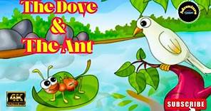 The Dove and The Ant Story in English |Stories for Kids