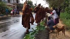 僧侣徒步苦行几百公里，民众夹道迎接，为僧侣洗脚、擦脚和送水