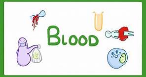 GCSE Biology - What Is Blood Made of? / What Does Blood Do? #25