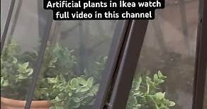Artificial plants in Ikea/ fake plants in Ikea/ by walkinthrough