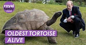 Prince Edward Comes Face to Face With Oldest Tortoise