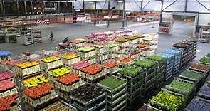 Mercado de Flores de Holanda - Flora Holland - 2012