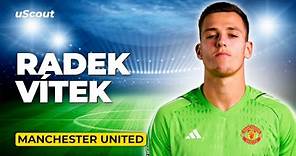 How Good Is Radek Vítek at Manchester United?