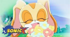 [OFFICIAL] SONIC X Ep7 - Party Hardly