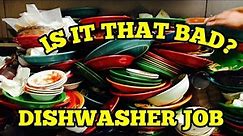 Dishwasher Job: is it that bad?
