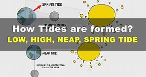 How Tides are Formed - Low, High, Neap, Spring Tide | Geography UPSC IAS