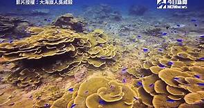 影／澎湖秘境「珊瑚之島」 傳統建築由珊瑚堆砌而成 | 生活 | NOWnews今日新聞