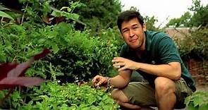 James Wong's Exotic Fruit for UK gardens! - Homegrown Revolution