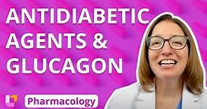 Antidiabetic Agents & Glucagon - Pharmacology - Endocrine | @LevelUpRN
