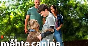 Una Mente Canina - Trailer en Español Latino l Netflix
