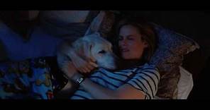 Who Gets The Dog? - Official Trailer (2016) - Alicia Silverstone