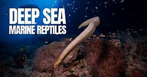The Peculiar World of Marine Reptiles