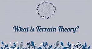 What is Terrain Theory?
