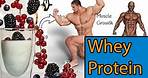 Whey proteins - Proteins for Muscle grow. The only video you need to see about whey protein