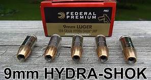 9mm 124 gr Federal HYDRA-SHOK Ammo Review