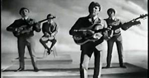 The Searchers "What Have They Done to the Rain" 1964