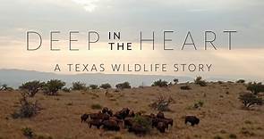 Deep in the Heart: A Texas Wildlife Story - 2019 Teaser