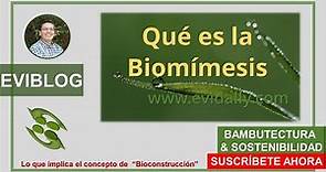 Qué es la Biomímesis