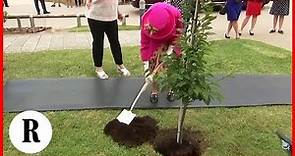 La regina Elisabetta a 93 anni pianta un albero e rifiuta aiuto: "Posso ancora farlo da sola"
