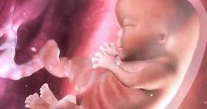 Embarazo: Semanas 1 - 9 | Video BabyCenter en Español