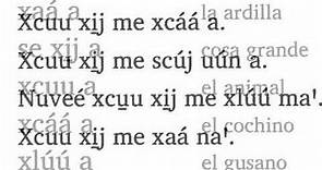 El Alfabeto del Triqui de Copala -03- unas consonantes sencillas: m, l, x, g, d, p, q, h