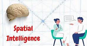 Visual spatial Intelligence Definition, Characteristics, and Activities for its Development