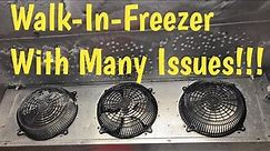 Walk in Freezer With Many Problems