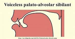 Voiceless palato-alveolar sibilant