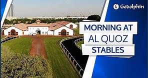 Another glorious morning at Godolphin's Al Quoz Stables in Dubai