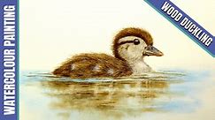 Wood Duck Duckling in Watercolour with Paul Hopkinson