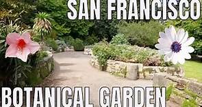 The San Francisco Botanical Garden
