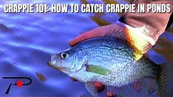 How To Catch Crappie In Ponds