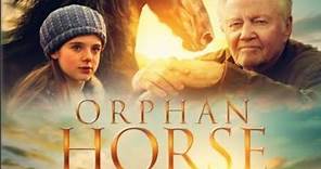 Orphan horse/ Full movie