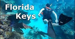 Snorkeling in the Florida Keys | John Pennekamp Coral Reef State Park