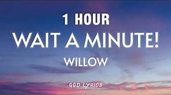 [1 HOUR] Willow - Wait A Minute! (Tiktok Remix) [Lyrics]
