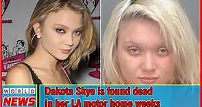 Dakota Skye dead in her LA motor home weeks dakota skye george floyd mural