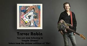 TREVOR RABIN - Fragile (VISUALIZER VIDEO)