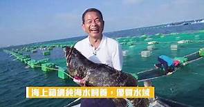 【天和鮮物】來自澎湖大海鮮甜肥美，天然環境海上箱網養殖權威！