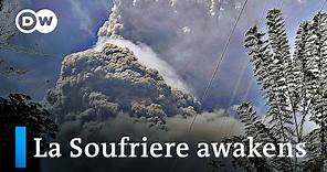 Tens of thousands flee volcanic eruption on St. Vincent island | DW News